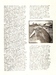 Ursiny_1908-1914_str.02_komp.jpg